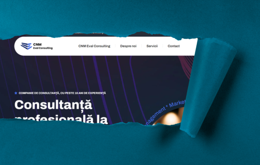 CNM Eval Consulting